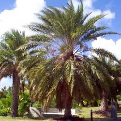 Click to enlarge