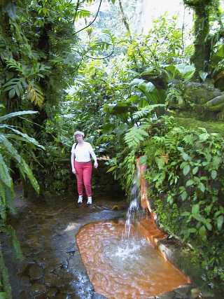 dominica