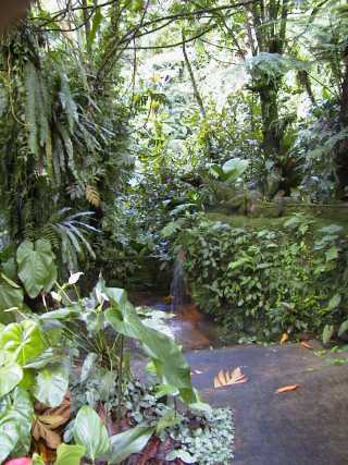 dominica