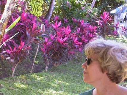 dominica