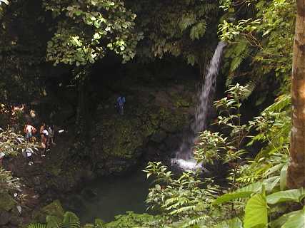 dominica