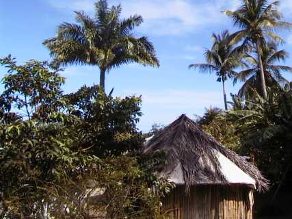 dominica