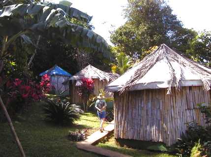 dominica