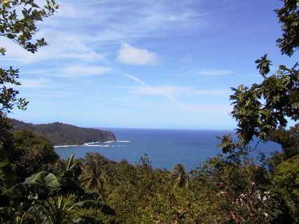 dominica