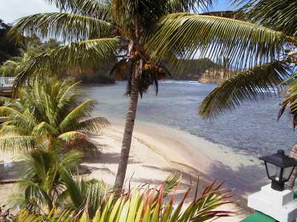 dominica