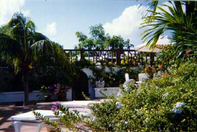 Click for larger view of courtyard and gardens!
