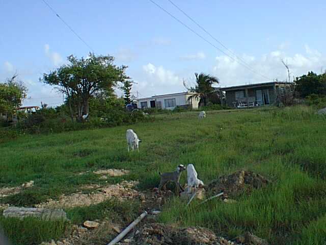 53.jpg